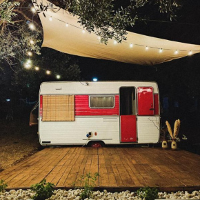 Caravan ManyLivesOneLove